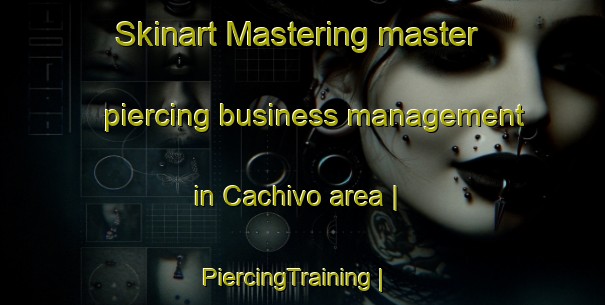 Skinart Mastering master piercing business management in Cachivo area | PiercingTraining | PiercingClasses | SkinartTraining-Mexico